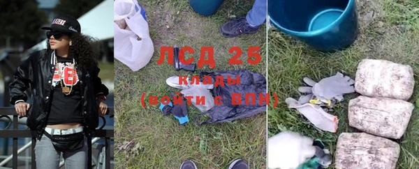 дживик Вяземский