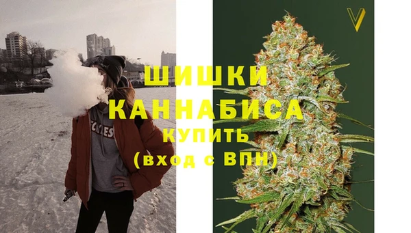 Альфа ПВП Бородино