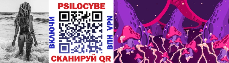 Галлюциногенные грибы Magic Shrooms  купить наркоту  Гусь-Хрустальный 